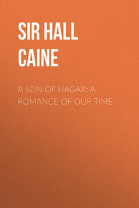 A Son of Hagar: A Romance of Our Time