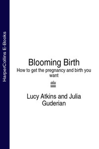 Blooming Birth: How to get the pregnancy and birth you want