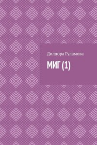 Миг (1)
