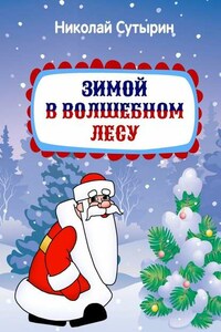 Зимой в Волшебном лесу