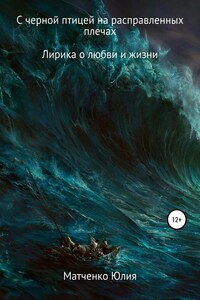 С черной птицей на расправленных плечах…