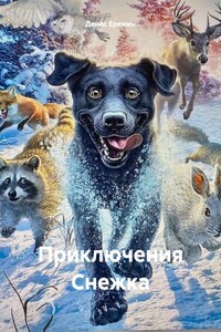 Приключения Снежка