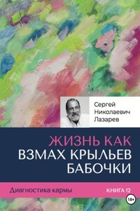 Диагностика кармы. «Жизнь, как взмах крыльев бабочки». Книга 12