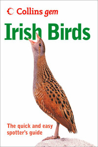Irish birds