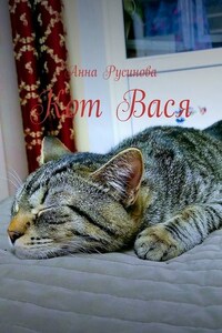 Кот Вася