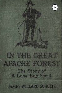 В Великом лесу апачей